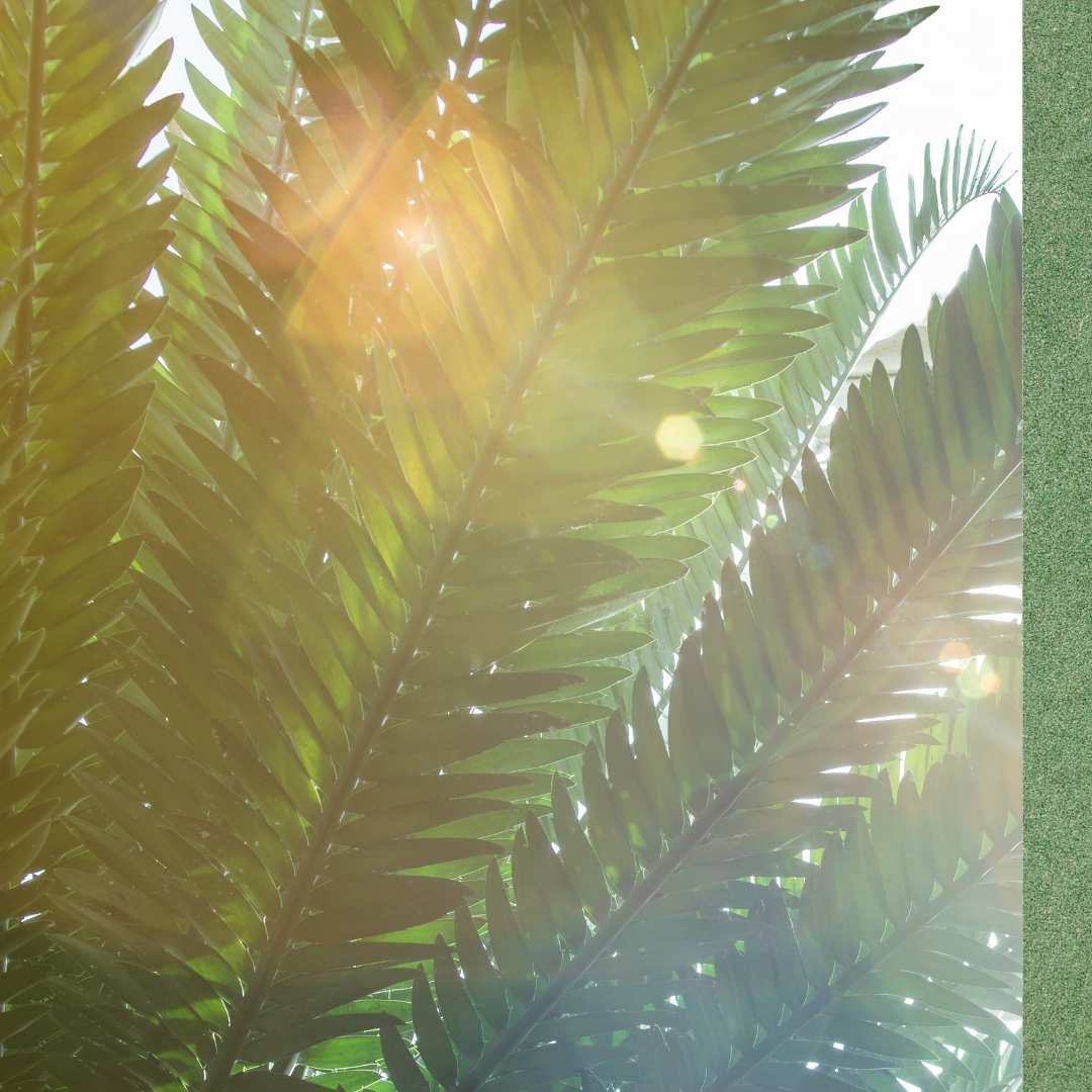 Sample image alt text