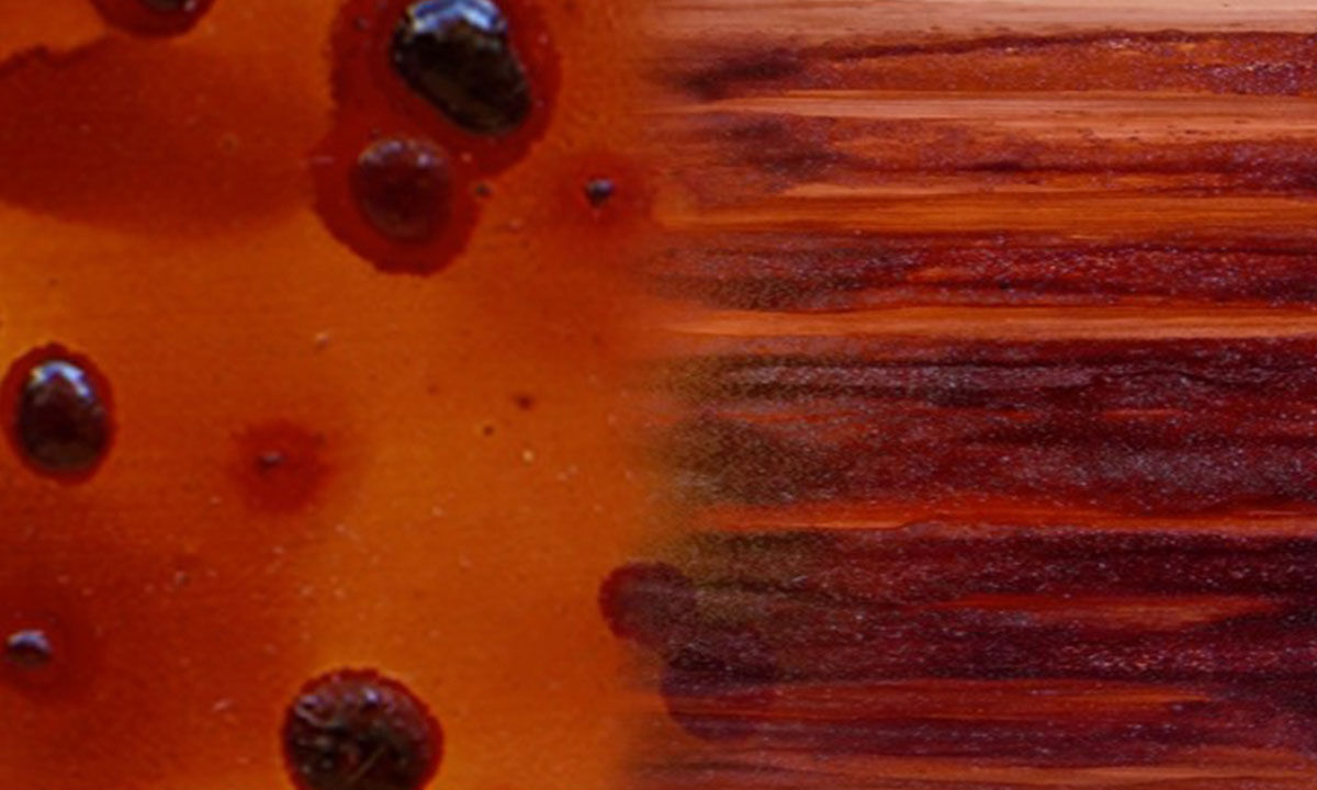 Liquid Fire by Sharyn Egan