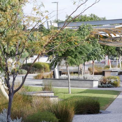 Hero Devwa Paul Mcgovern 63