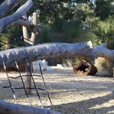 Oneonefive Nature Play Closeup 3