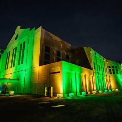 Power Station Lights Green And Gold
