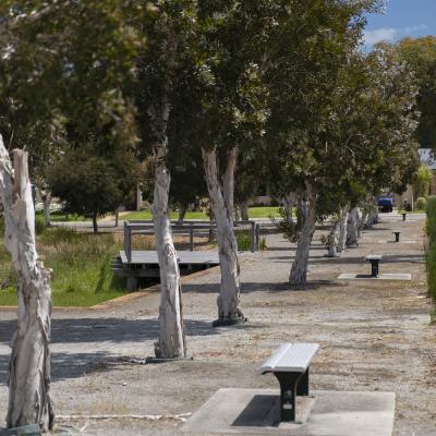 The natural environment welcomes residents